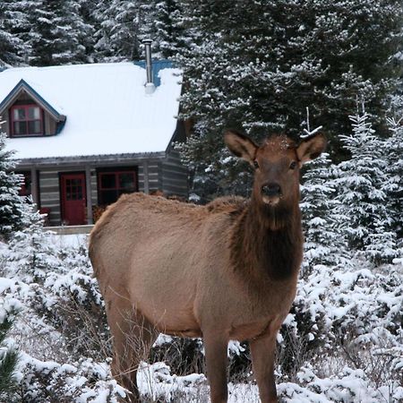 Nipika Mountain Resort Radium Hot Springs Exterior foto
